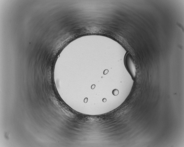 X0000098140442200805151144