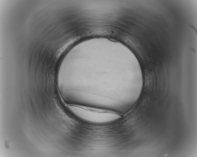 X0000098140444200805151144