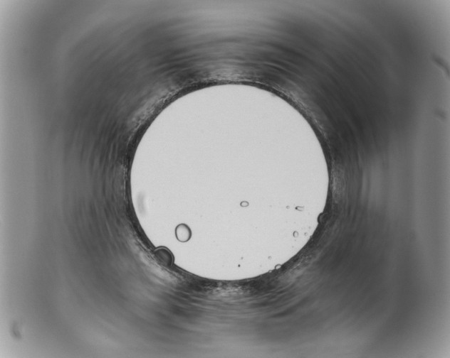 X0000098140445200805151144