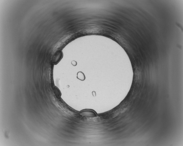 X0000098140446200805151144