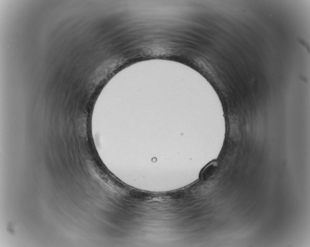 X0000098140447200805151144