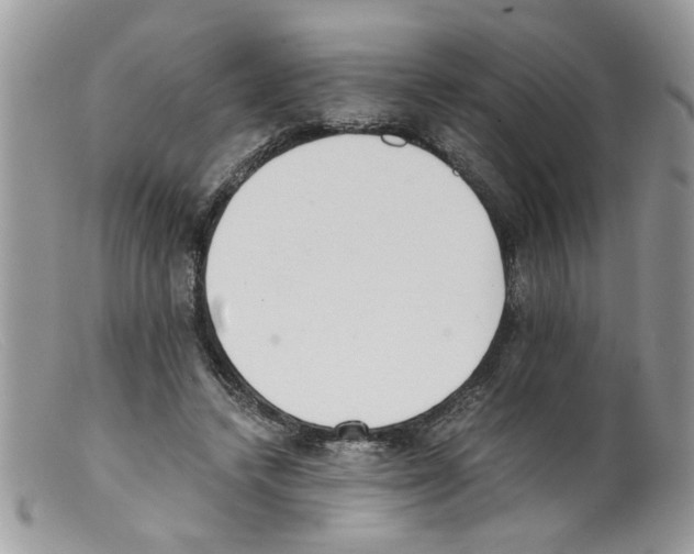 X0000098140448200805151144