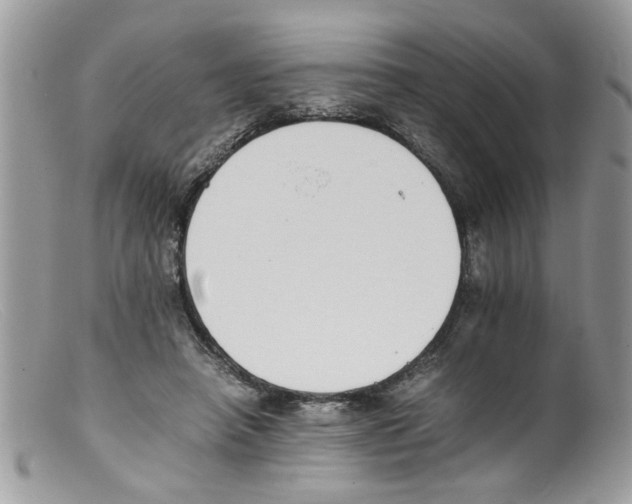 X0000098140450200805151144