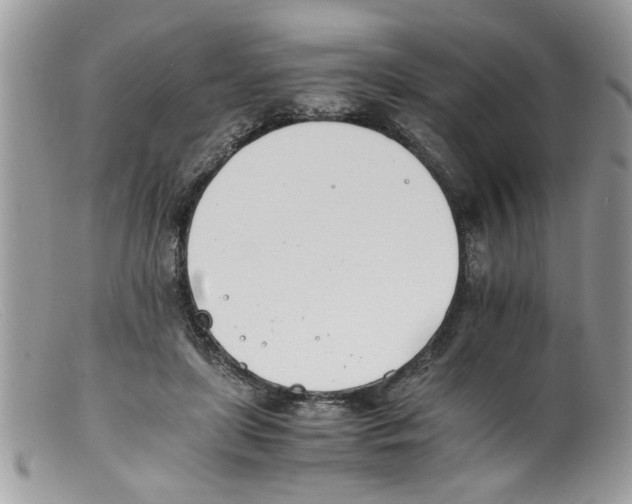 X0000098140451200805151144