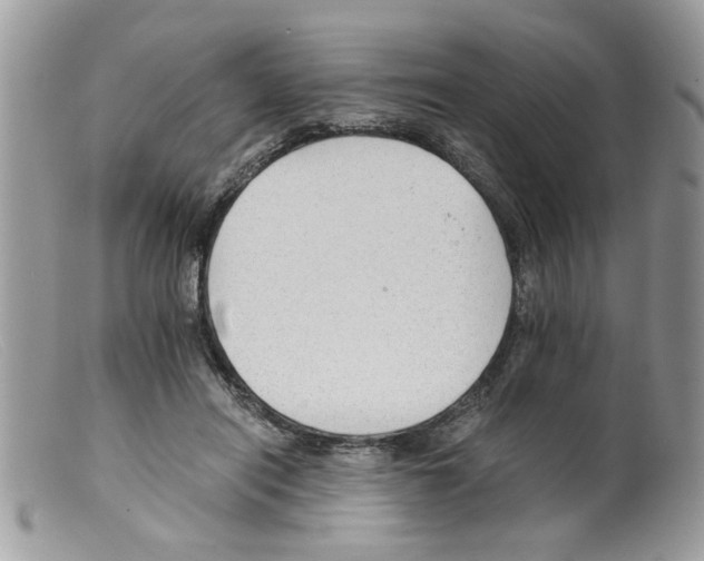 X0000098140454200805151144