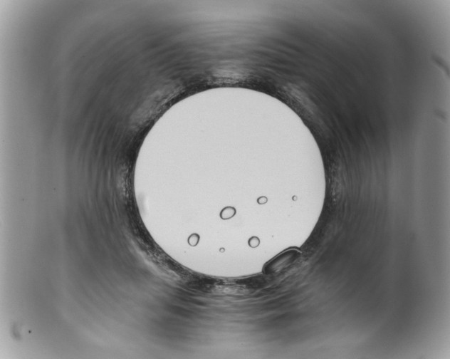 X0000098140455200805151144