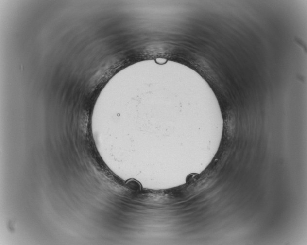 X0000098140458200805151144