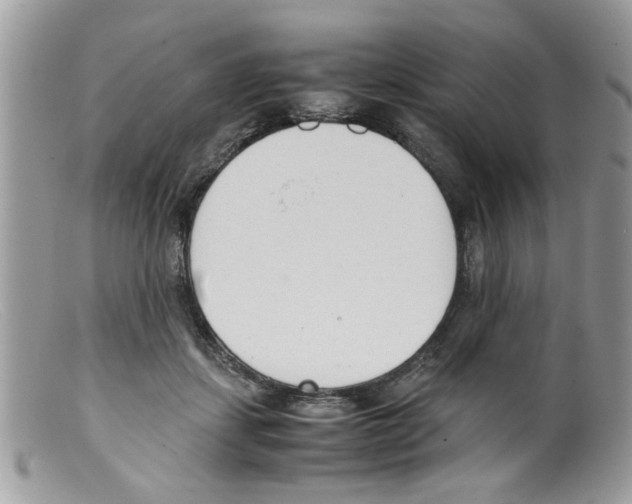 X0000098140459200805151144