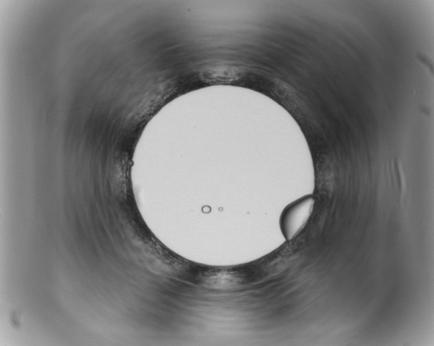 X0000098140460200805151144