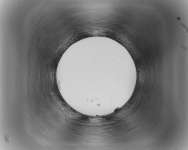 X0000098140461200805151144