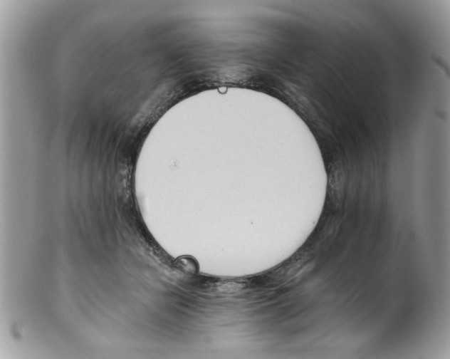 X0000098140462200805151144