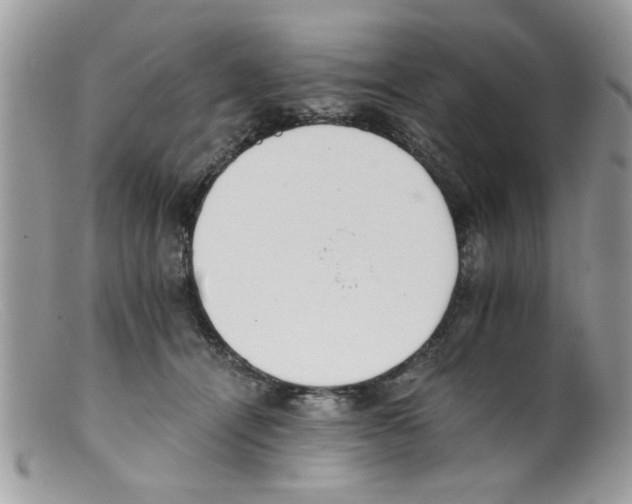 X0000098140464200805151144