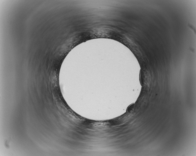 X0000098140465200805151145