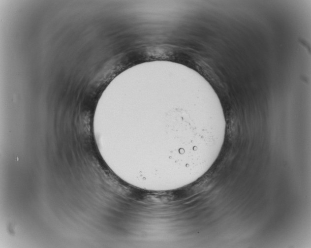 X0000098140466200805151145