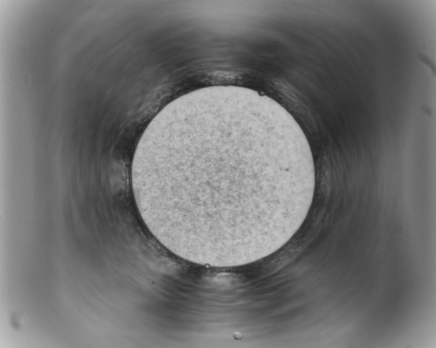 X0000098140467200805151145