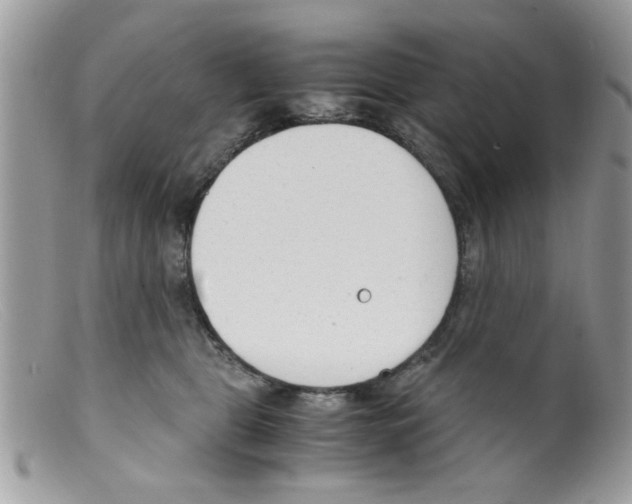 X0000098140469200805151145