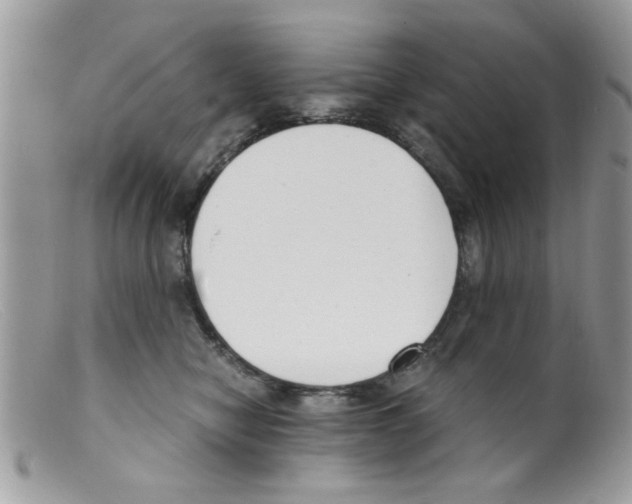 X0000098140470200805151145