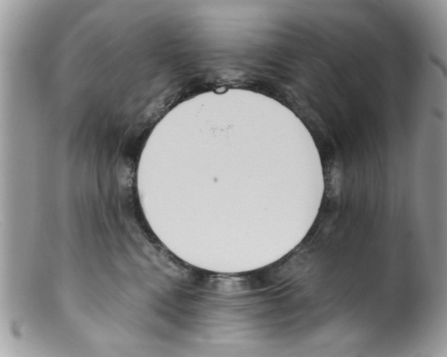 X0000098140472200805151145