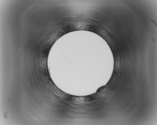 X0000098140473200805151145