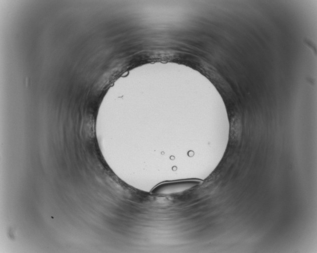 X0000098140474200805151145