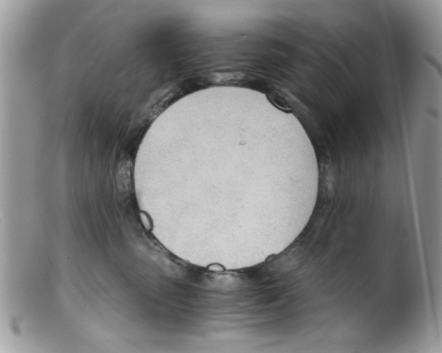 X0000098140475200805151145