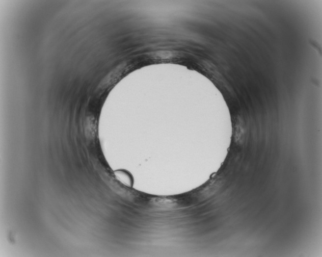 X0000098140476200805151145