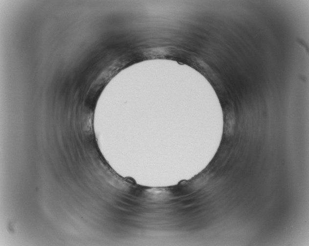 X0000098140477200805151145