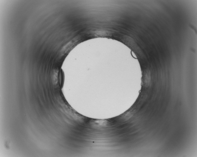 X0000098140478200805151145