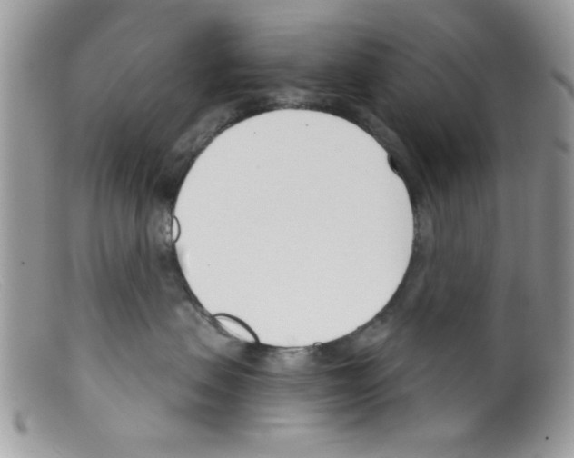 X0000098140479200805151145