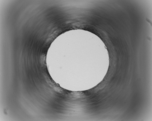 X0000098140480200805151145