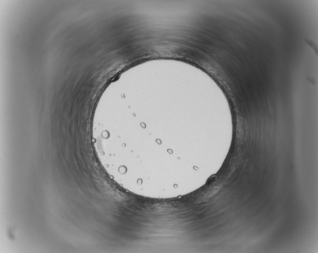 X0000098140481200805151144