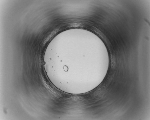 X0000098140482200805151144