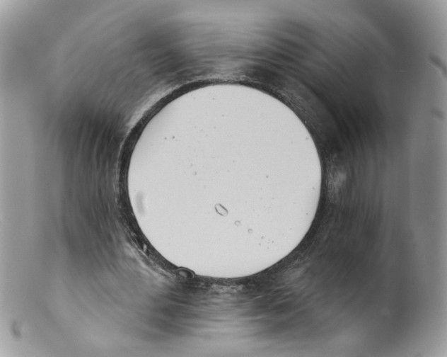 X0000098140484200805151144