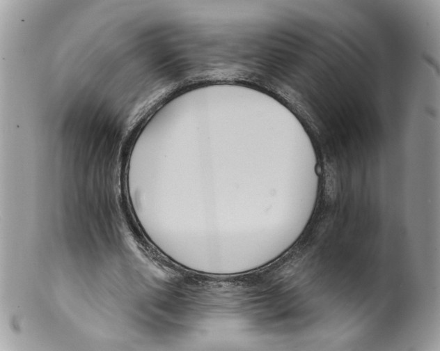 X0000098140486200805151144