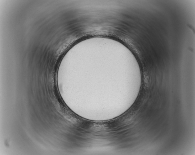 X0000098140487200805151144