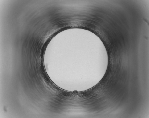 X0000098140488200805151144