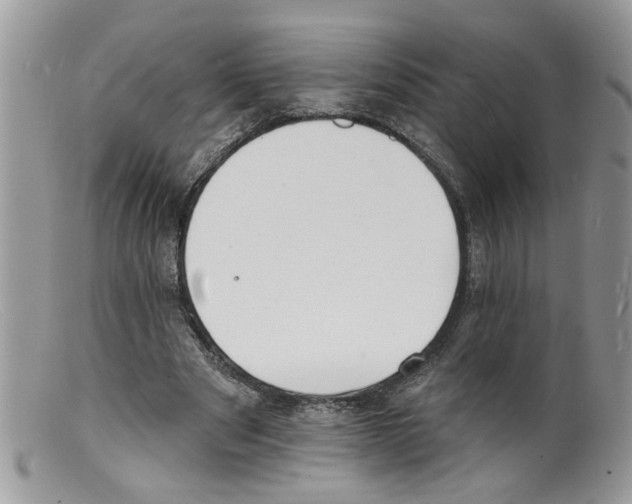 X0000098140489200805151144