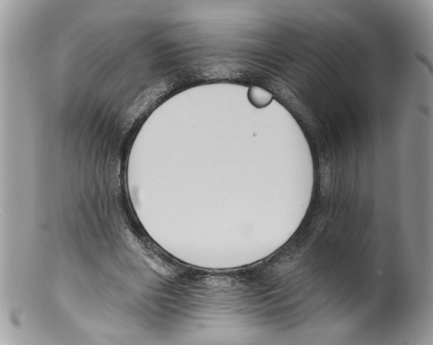 X0000098140490200805151144