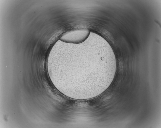 X0000098140491200805151144