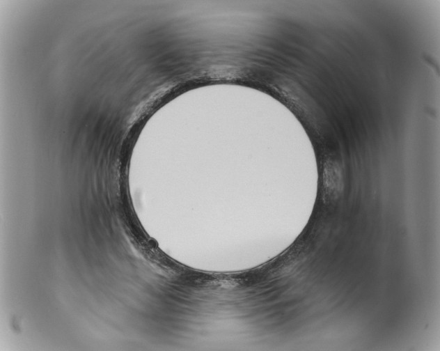 X0000098140492200805151144