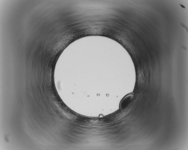 X0000098140493200805151144