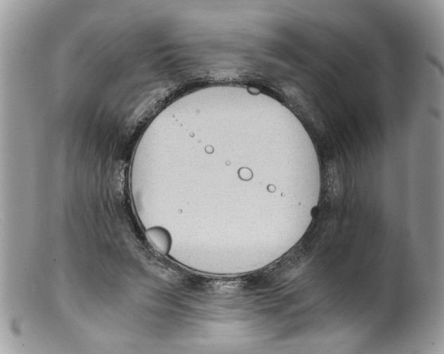 X0000098140495200805151144