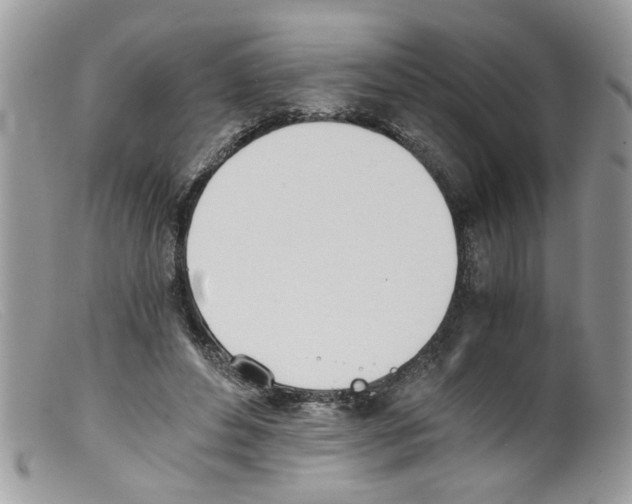 X0000098140496200805151144