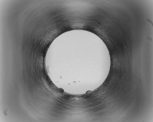 X0000098140498200805151144