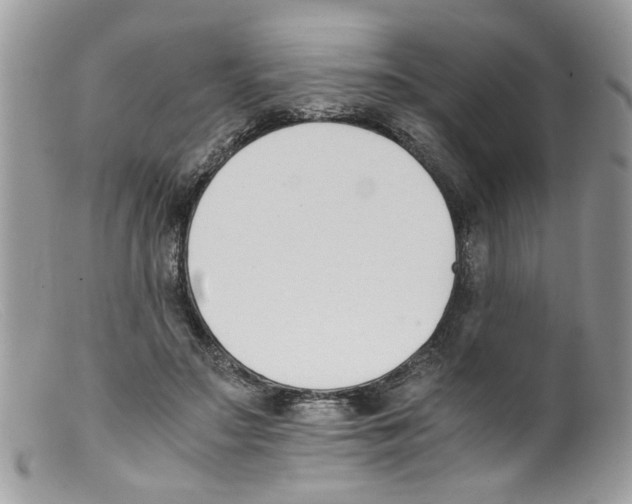 X0000098140499200805151144