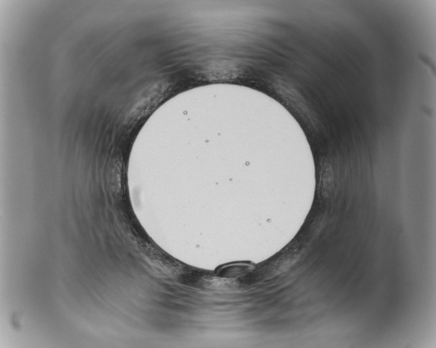 X0000098140501200805151144