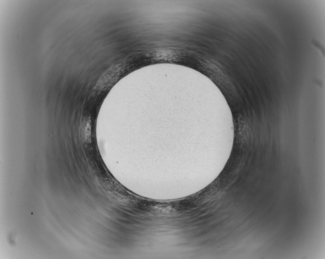 X0000098140502200805151144