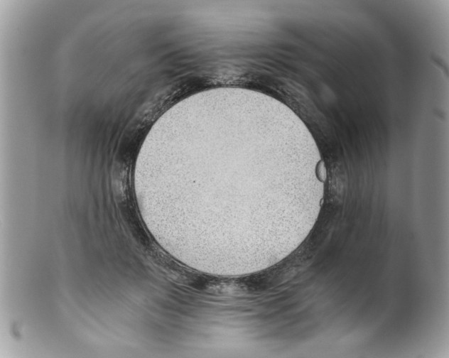 X0000098140503200805151144