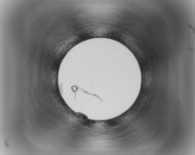 X0000098140505200805151144