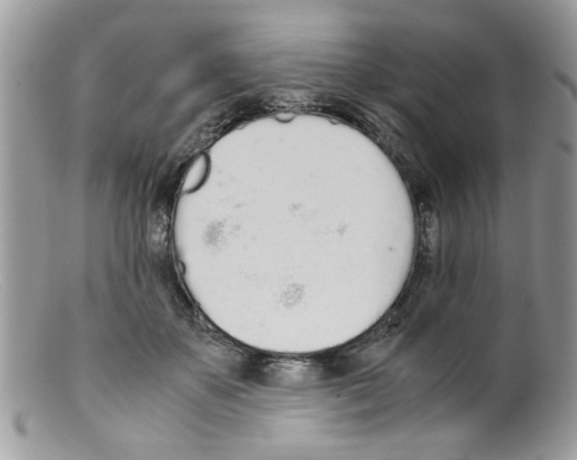 X0000098140507200805151144